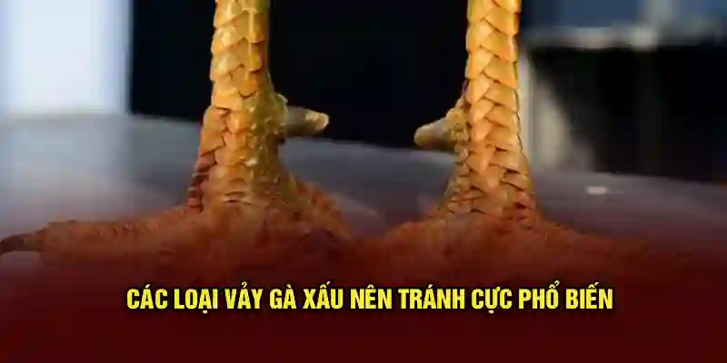 Các loại vảy gà xấu nên tránh cực phổ biến