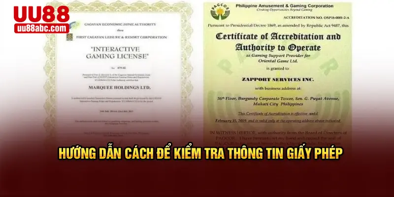 Hướng dẫn cách để kiểm tra thông tin giấy phép