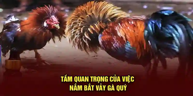 Tầm quan trọng của việc nắm bắt vảy gà quý